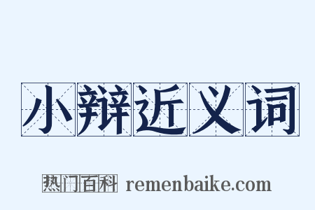 小辩近义词是什么意思的图片